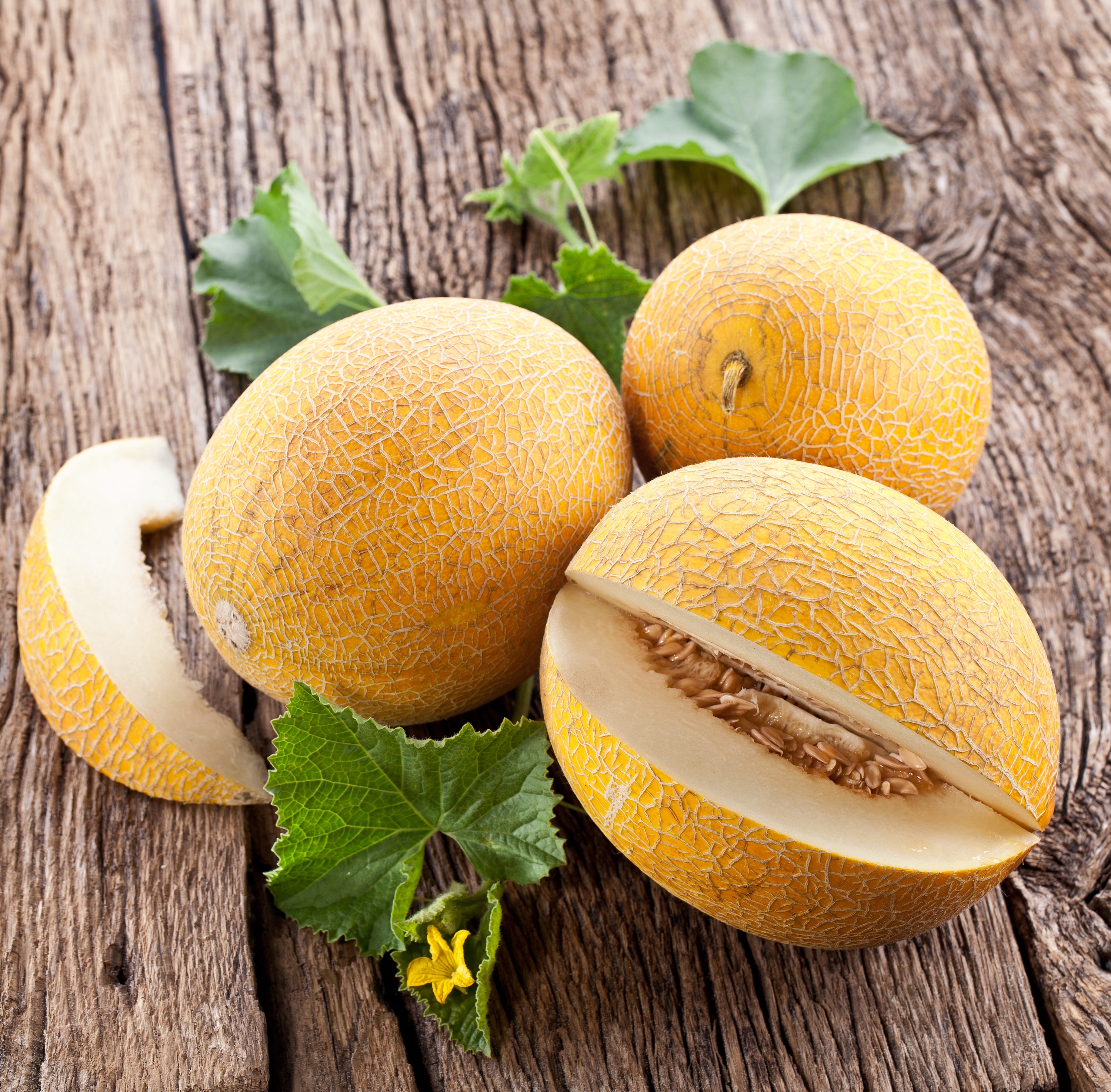 сорт дыни казачка 244. дыня крем брюле семена алтая. дыня боло. дыня крем-брюле, 1г, сем алт. дыня крем брюле семена алтая.